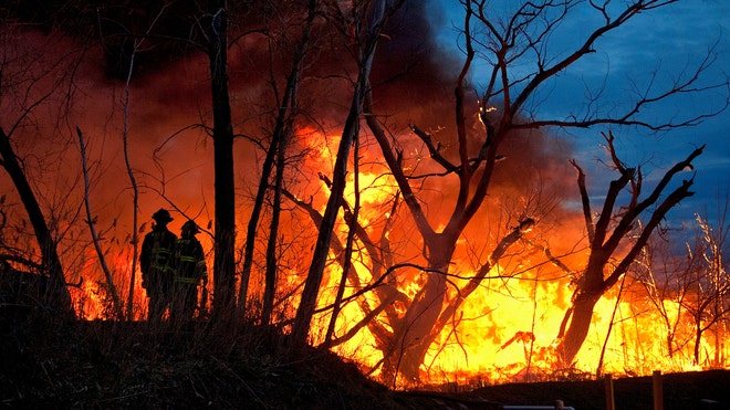 forest fire.jpg